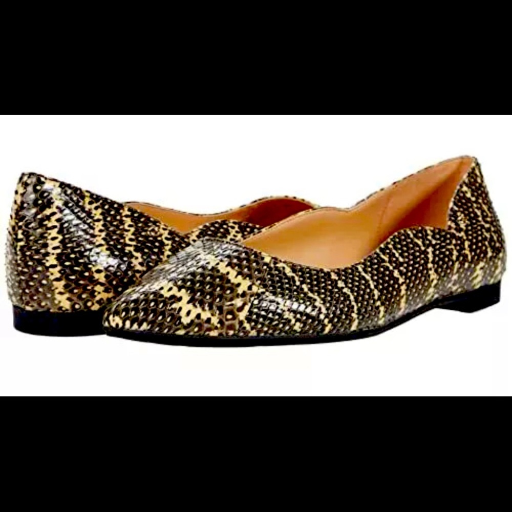 BNIB Coach Vierra Snake Skimmer Flats